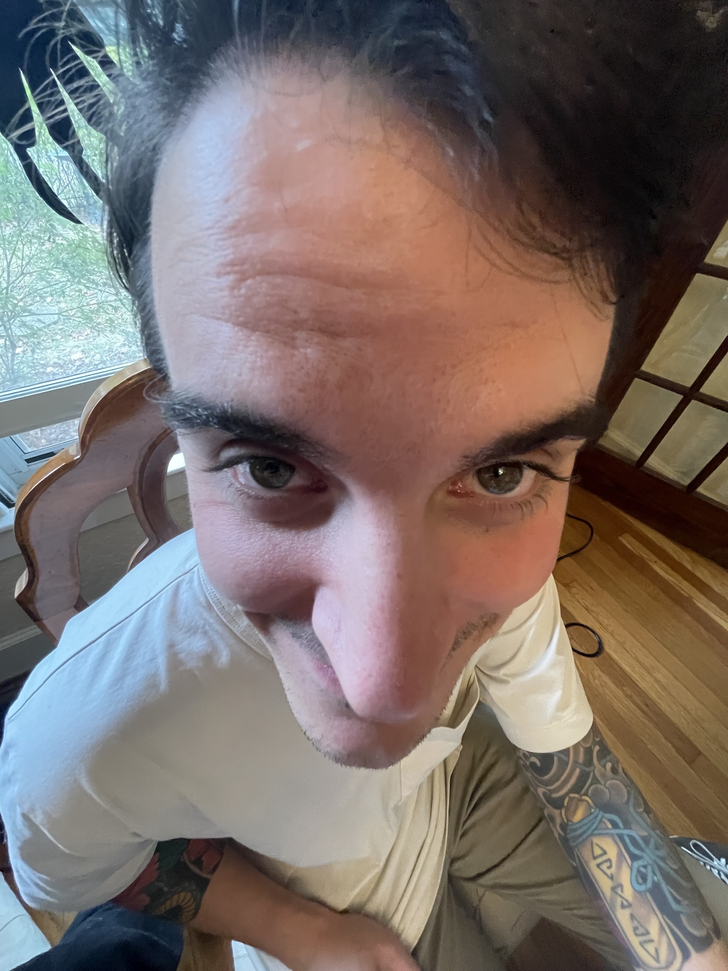 Max's Beefy Nacho Cat